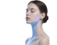 2025 nueva fase de desarrollo